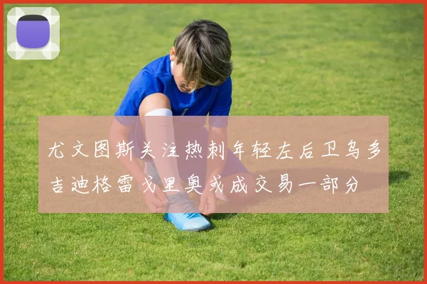 尤文图斯关注热刺年轻左后卫乌多吉迪格雷戈里奥或成交易一部分