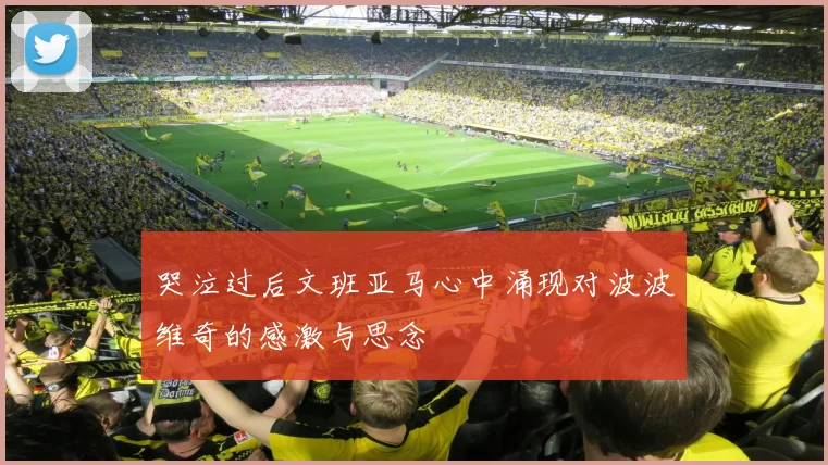 哭泣过后文班亚马心中涌现对波波维奇的感激与思念